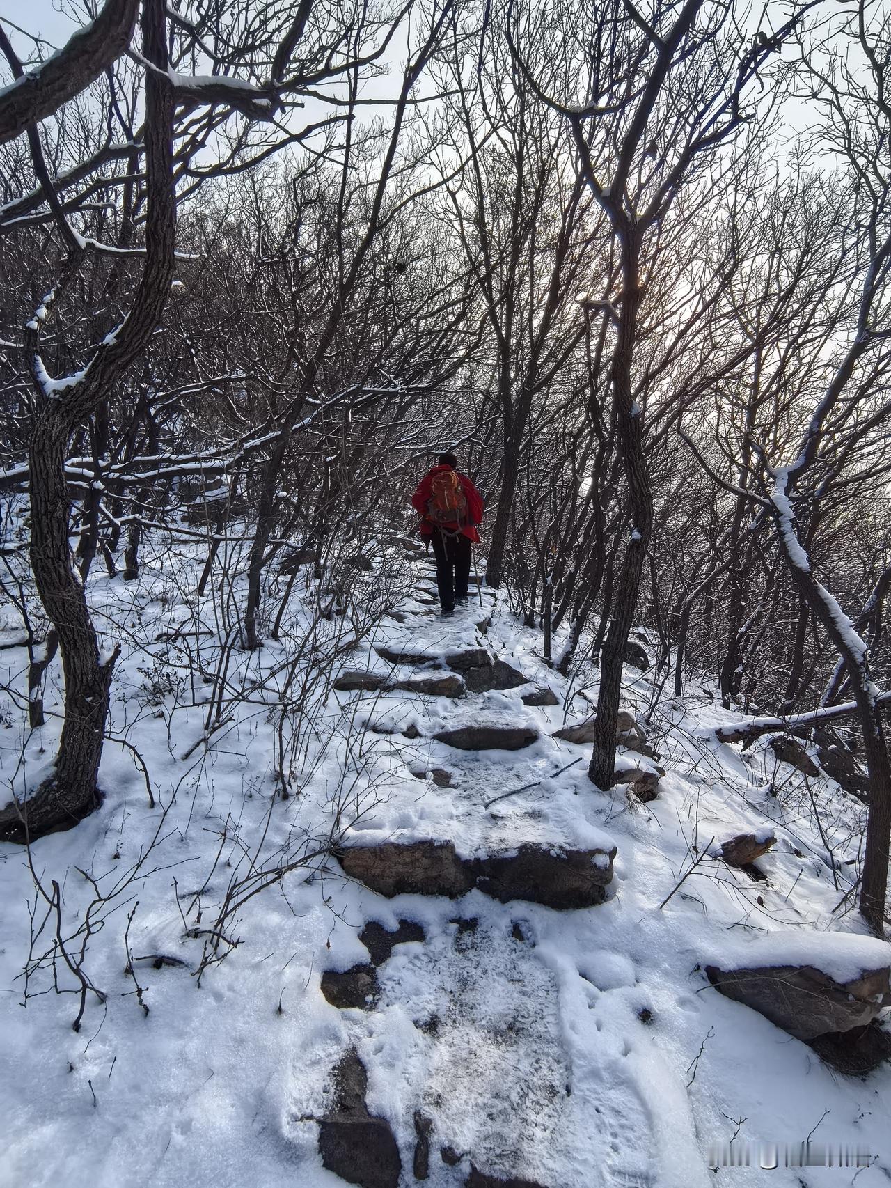 《踏雪嵩山》

雪春景致独妖娆，静谧卧于寒岭坳。
翠松遍覆霜华色，枝动时如玉屑消