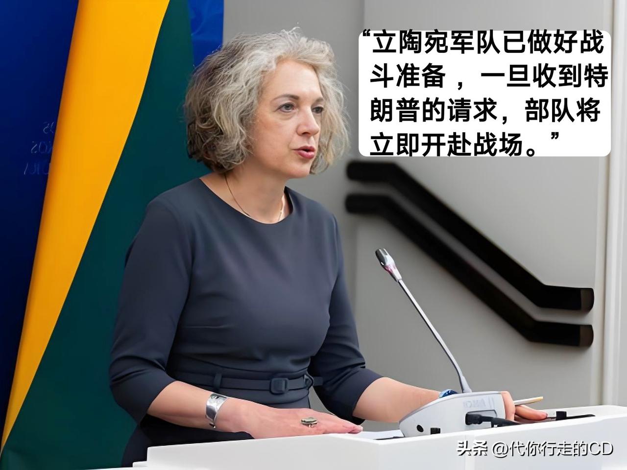 立陶宛又要下场了！
继俄乌冲突之后，
再一次申请出战伊朗。