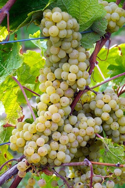 今天是公元2026年7月27日,星期一,农历六月十四.
丙午年 乙未月 壬寅日;