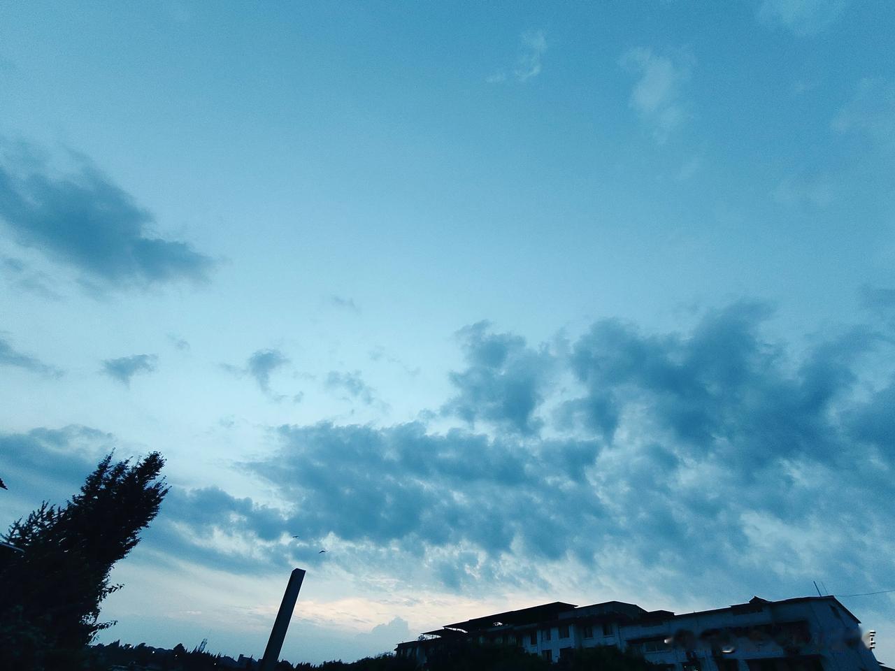 《晨景中的勤劳与宁静》

清晨，推开窗户，一片阴沉的乌云密布在天空，如同一幅肆意