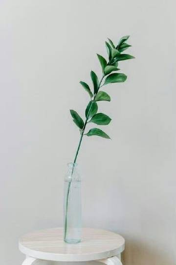 -             一个人情绪稳定的背后，是实力，也是格局。简单事不争吵