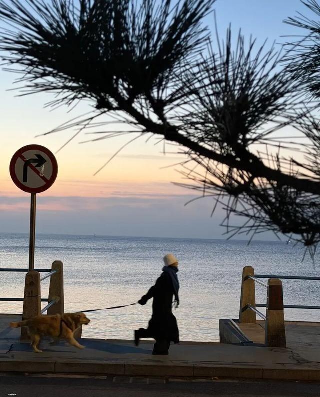 贾平凹一席话，道尽活着的万般苦：“坏人没有羞耻，所以活得心安理得，好人规矩多，思