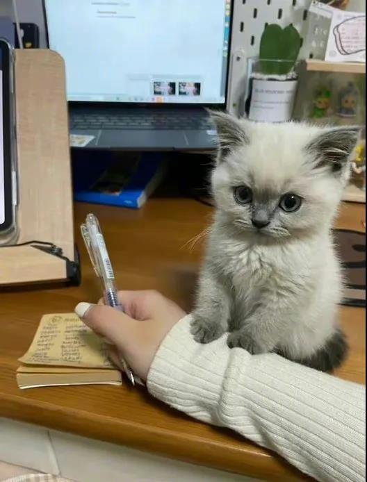 陪我玩~~
