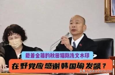 韩国瑜发飙，蓝白应感谢？
“最强菜农”林佳新点破“绿能你不能”玄机：在野党该谢韩