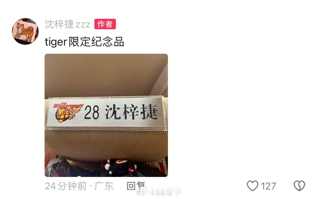 老沈这么喜欢，可以在家里挂起来，我也觉得很顺眼。