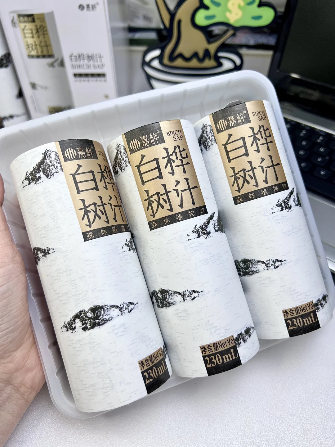 这个白桦树汁好喝到我的心趴上了😆