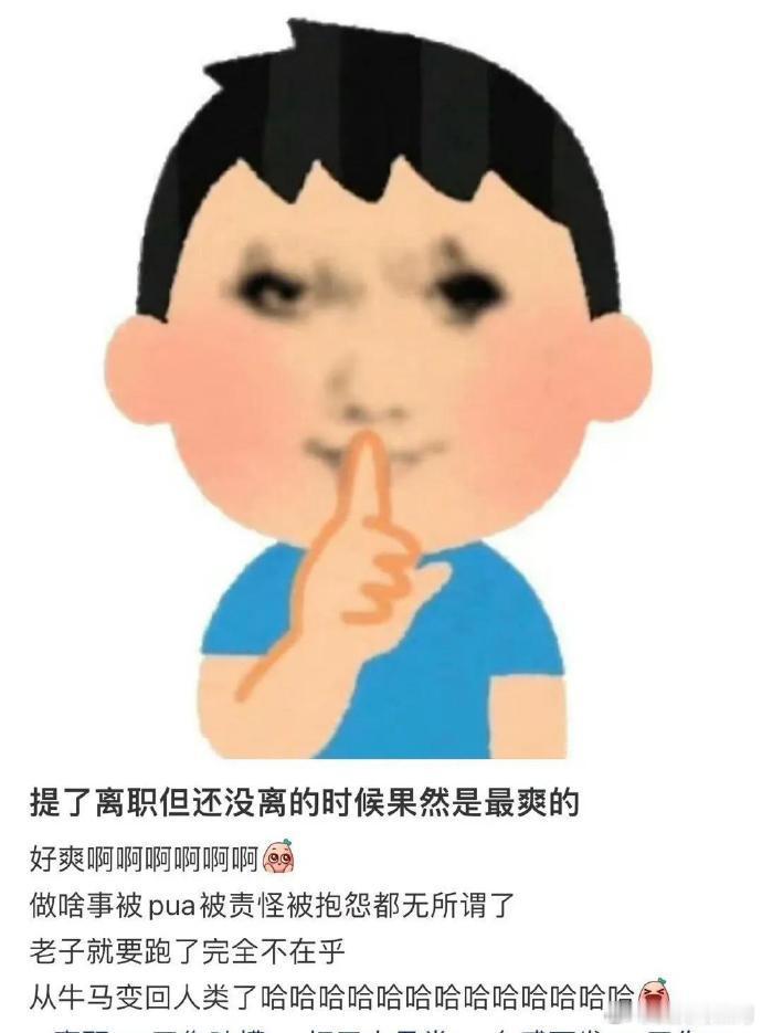 提了离职还没离职的时候最爽的，从牛马变成了人类！ 