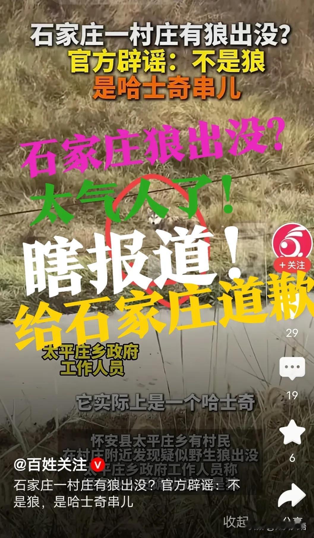 【太气人！请给石家庄道歉！】瞎报道！无良媒体！居然说石家庄一村庄有狼🐺出没？官