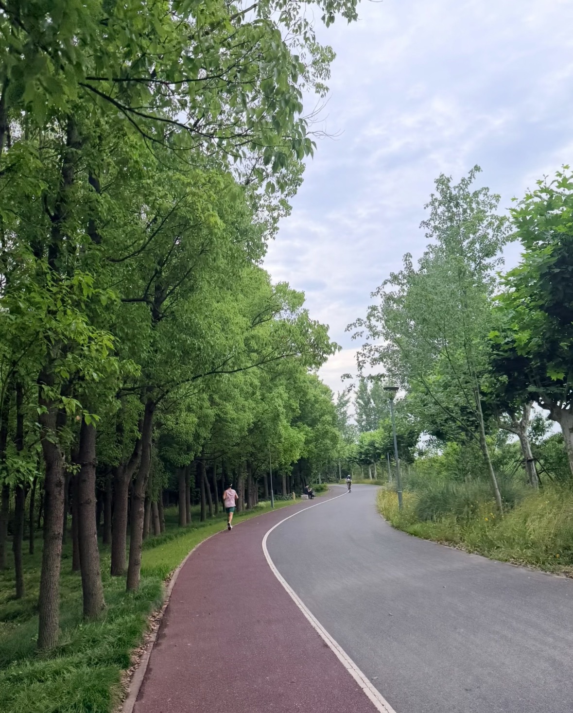 醒得早，晨跑一会再去公司汇市金油-周老金价黄金黄金原油