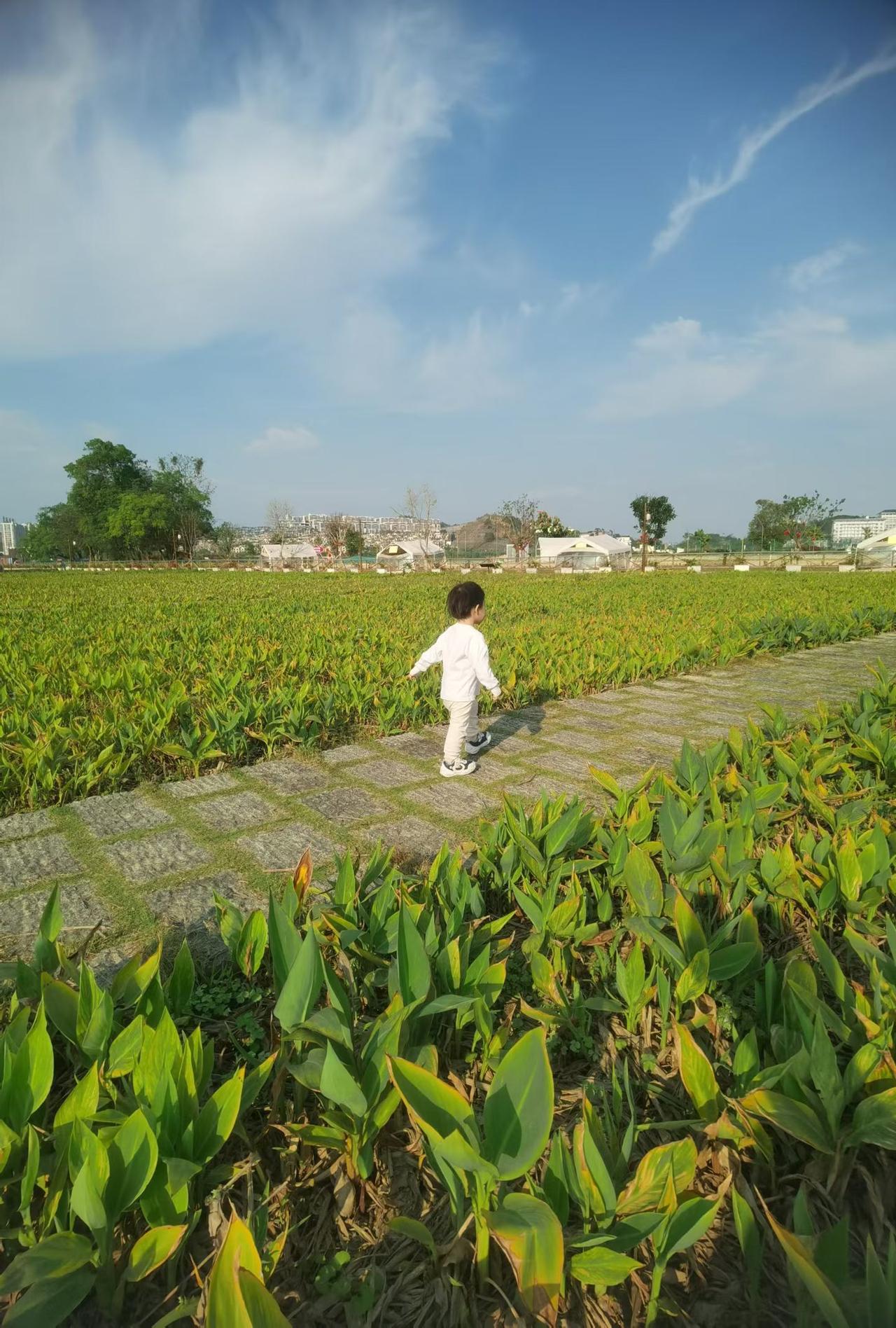 东北老人坐2天火车看孙女，却去错城市！看完鼻子一酸

最近「东北老人坐2天火车看