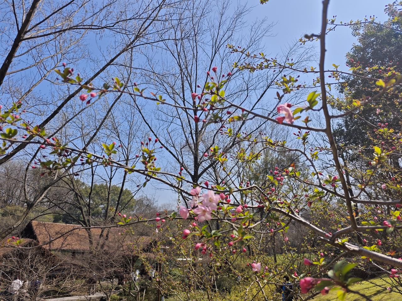 明知夕阳留不住，却将心事付黄昏。如若再回初见时，只看黄昏不看人。

人生短短几十