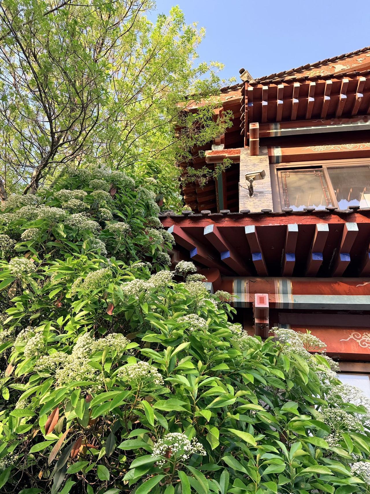 介绍一下济南市的大明湖。