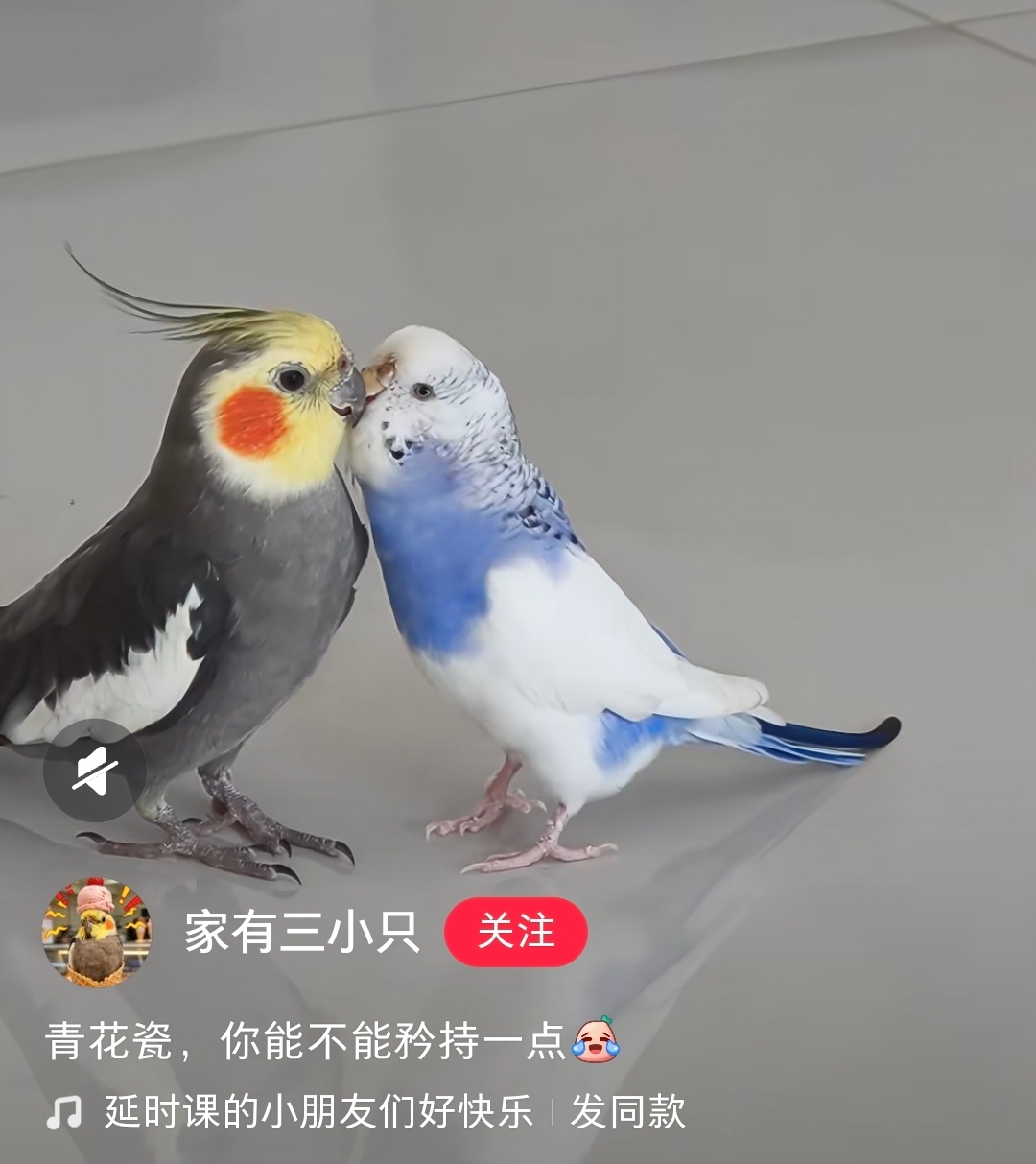 萌…… ​​​