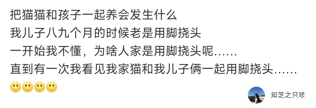 把孩子和猫猫一起养会发生什么