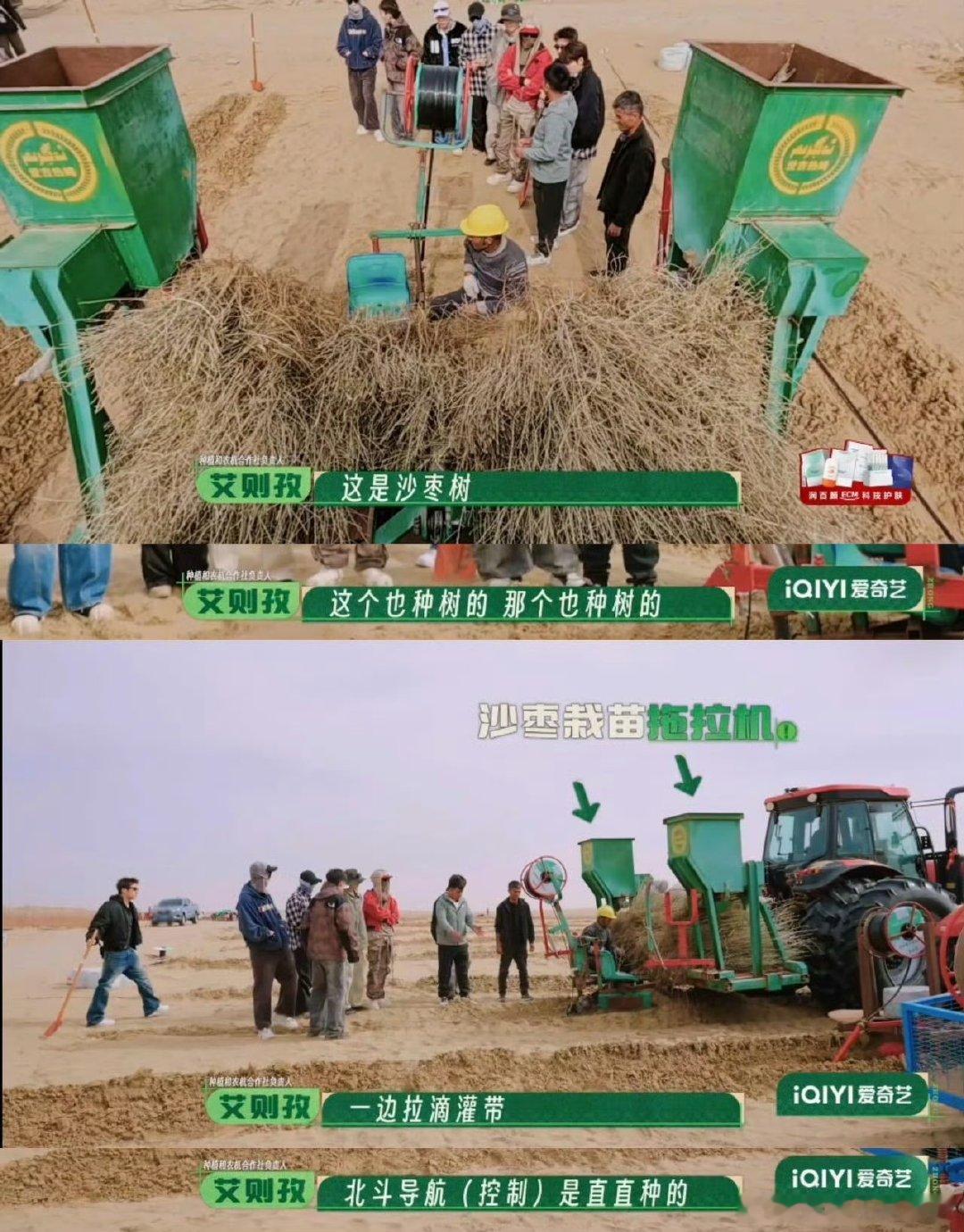 种地吧沙漠种玫瑰谁能想到沙漠能种玫瑰！少年们埋头苦干，风吹日晒扎根沙地，既防风固