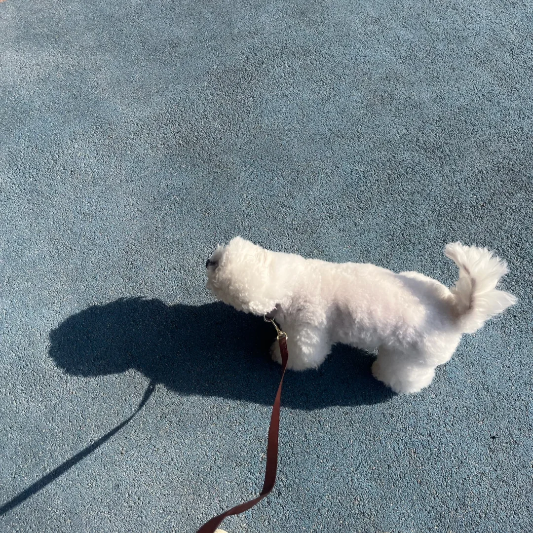 这是什么情况？