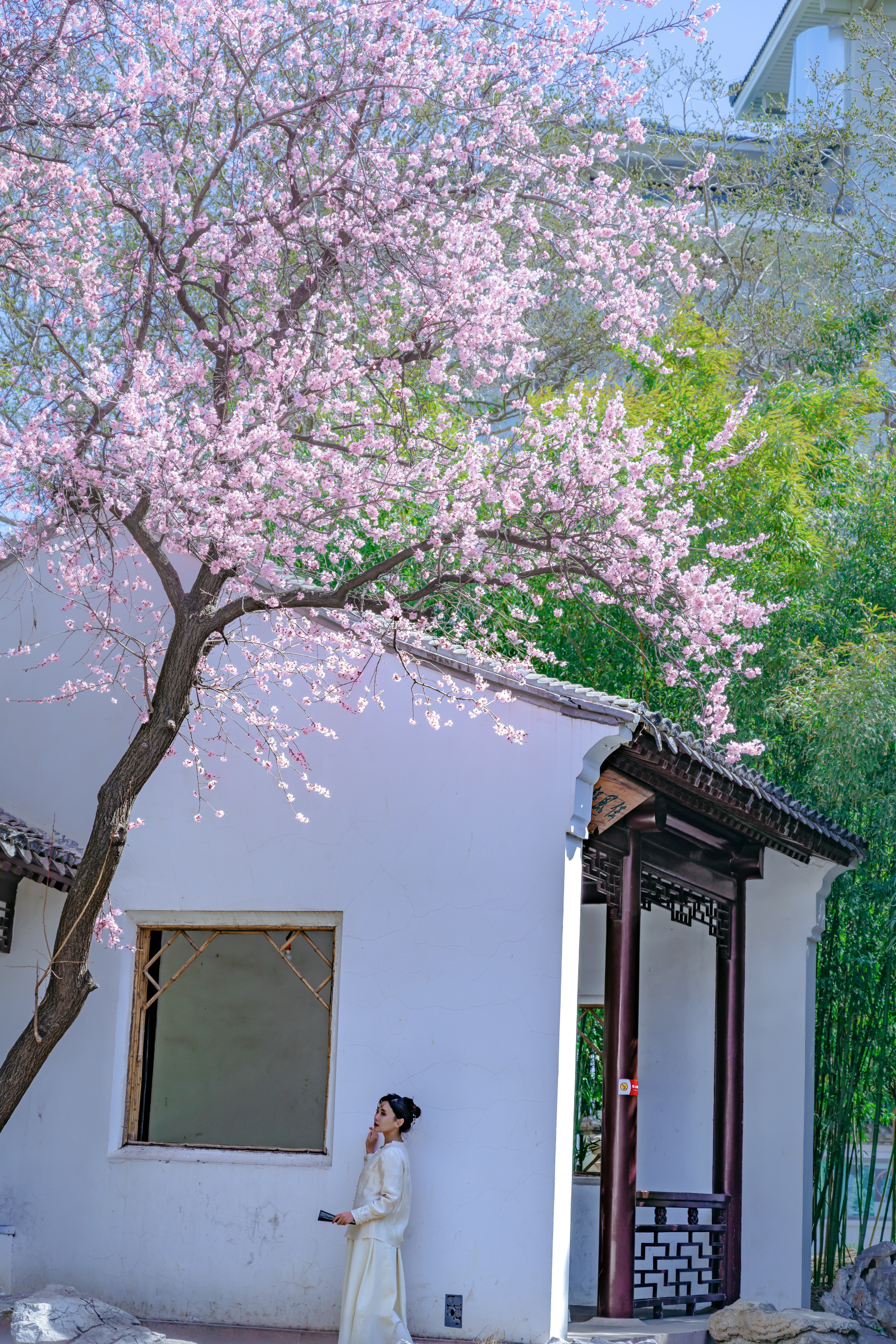 紫竹院公园里面藏了一处“江南别院”摄影