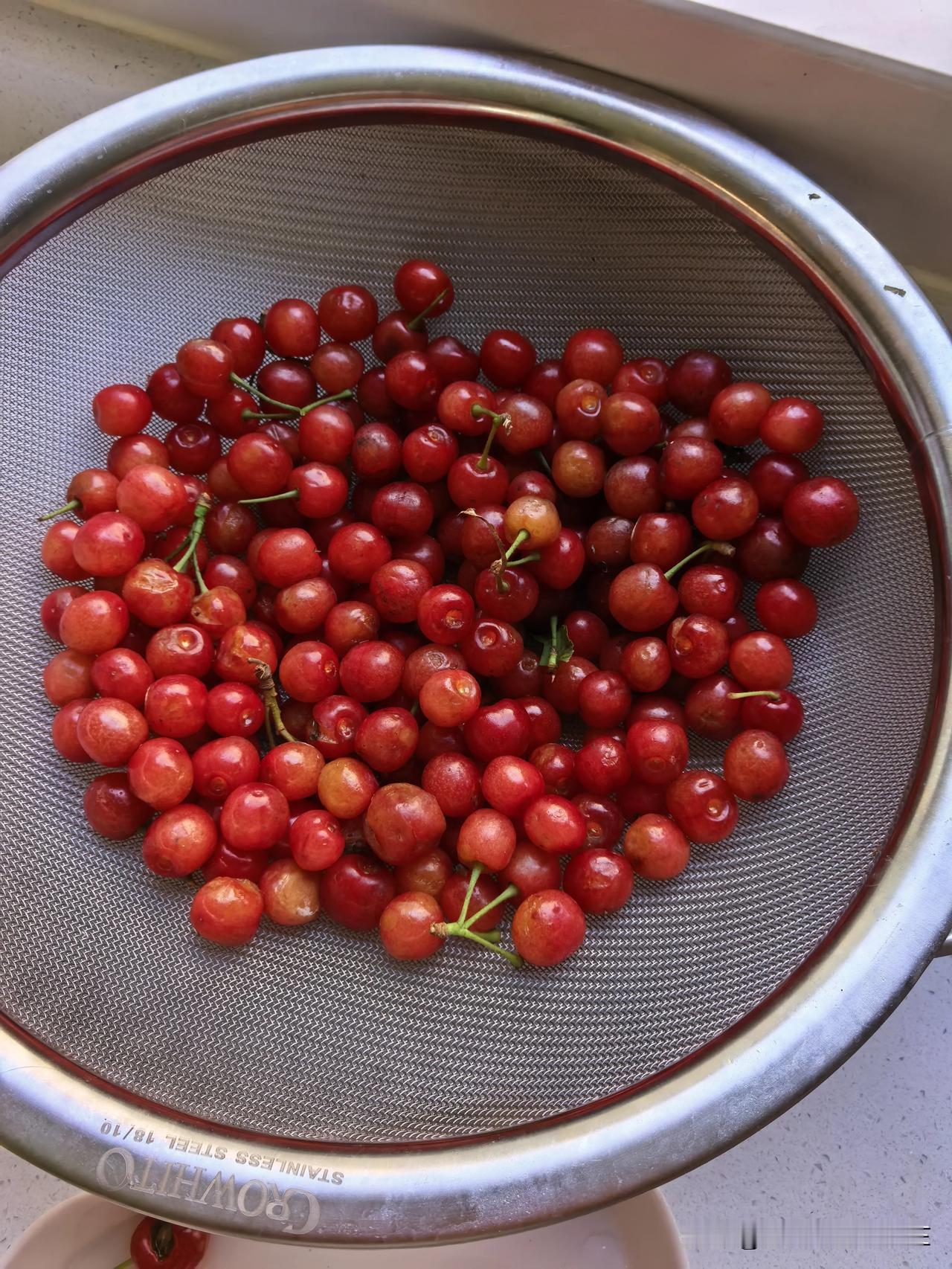 有人吃过这种樱桃🍒吗？坐标陕西商洛，秦岭山里小樱桃。又甜又香，也有点微酸，味道