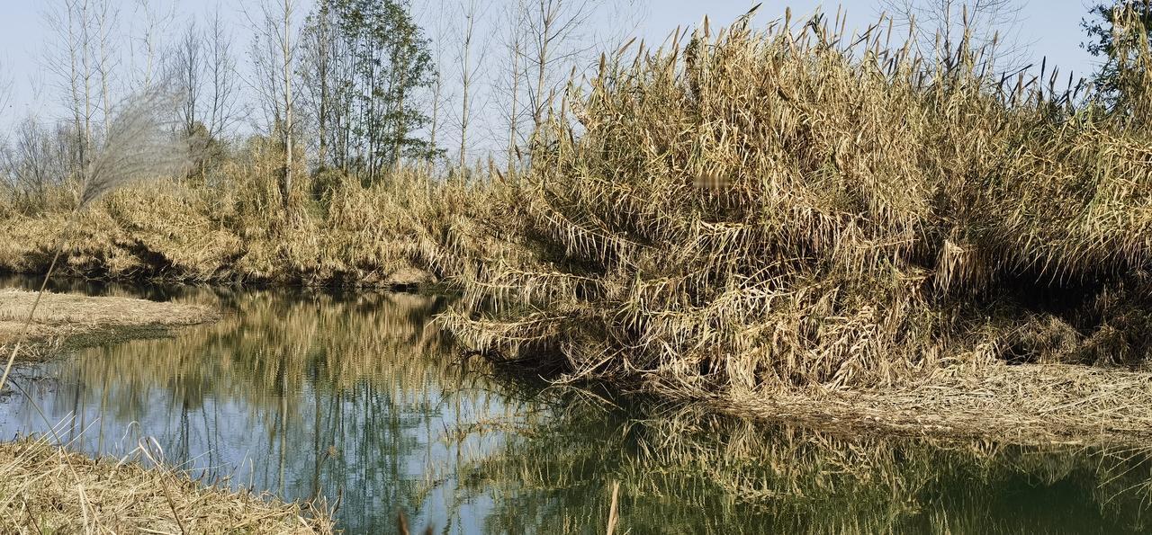 记录生活，随手拍张照天汉.汉江冬韵（2）