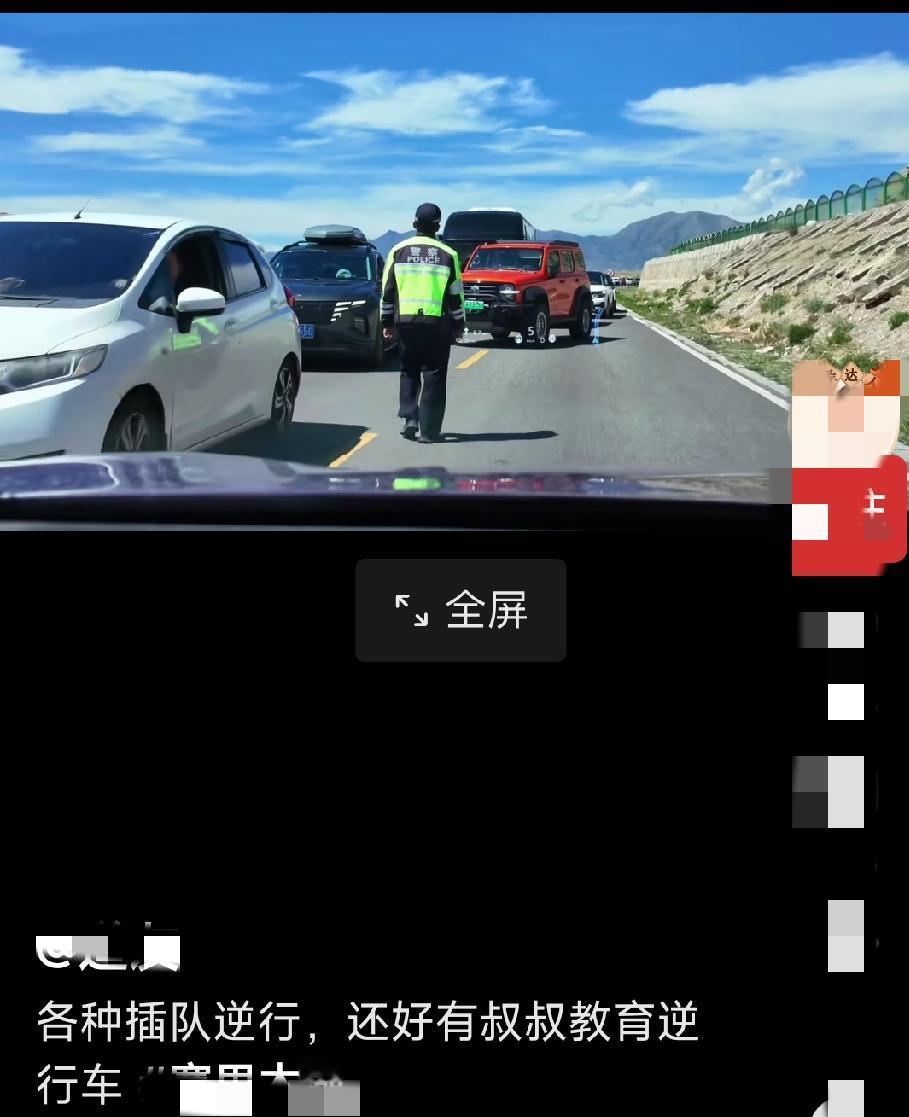 看到视频中这个情况深有感触，这么多的机动车逆行、强行加塞插队，交警抓看到也就做个