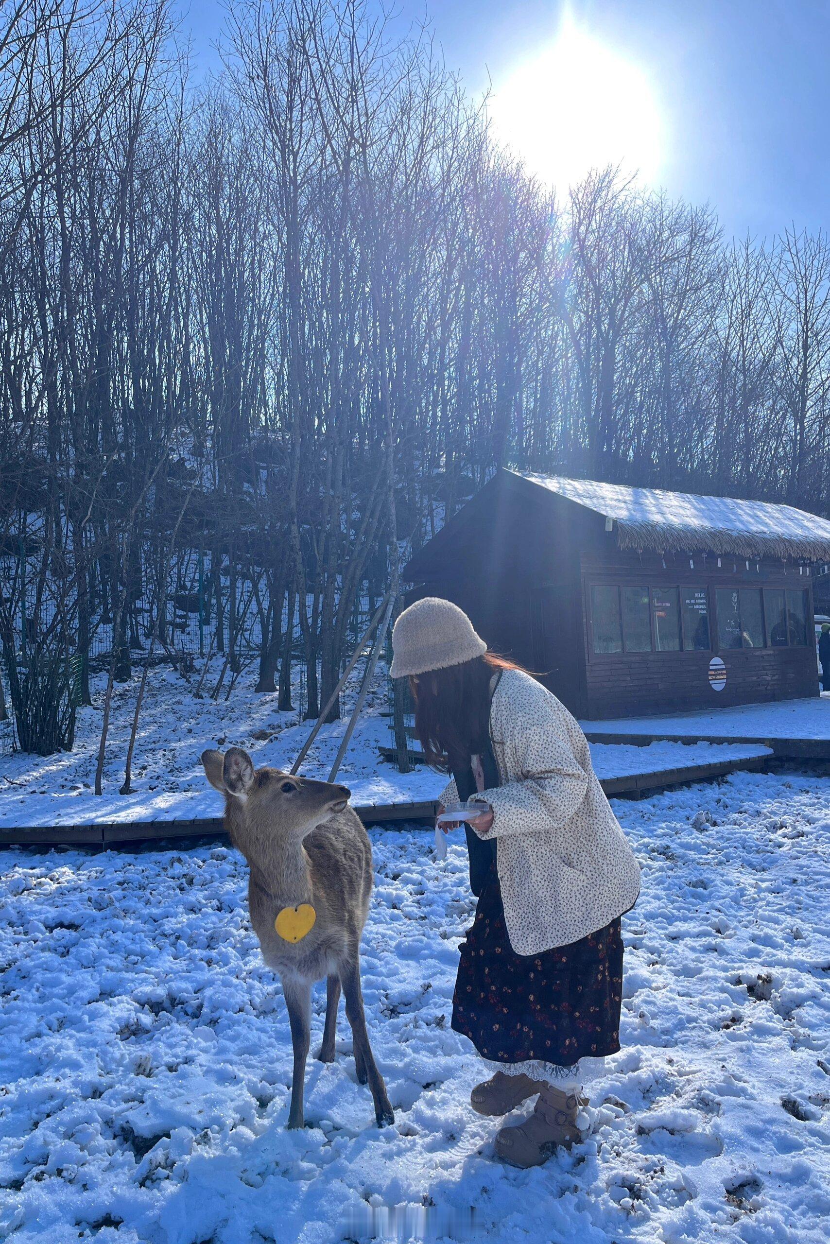 武汉🚄神农架 周末2天2夜最全攻略🎿||两天两夜 4人行 人均1k5  整体