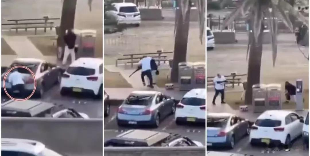 悉尼枪击现场惊心细节！枪手扫射前竟挥手驱离围观者
 
悉尼邦迪滩枪击案视频曝光：