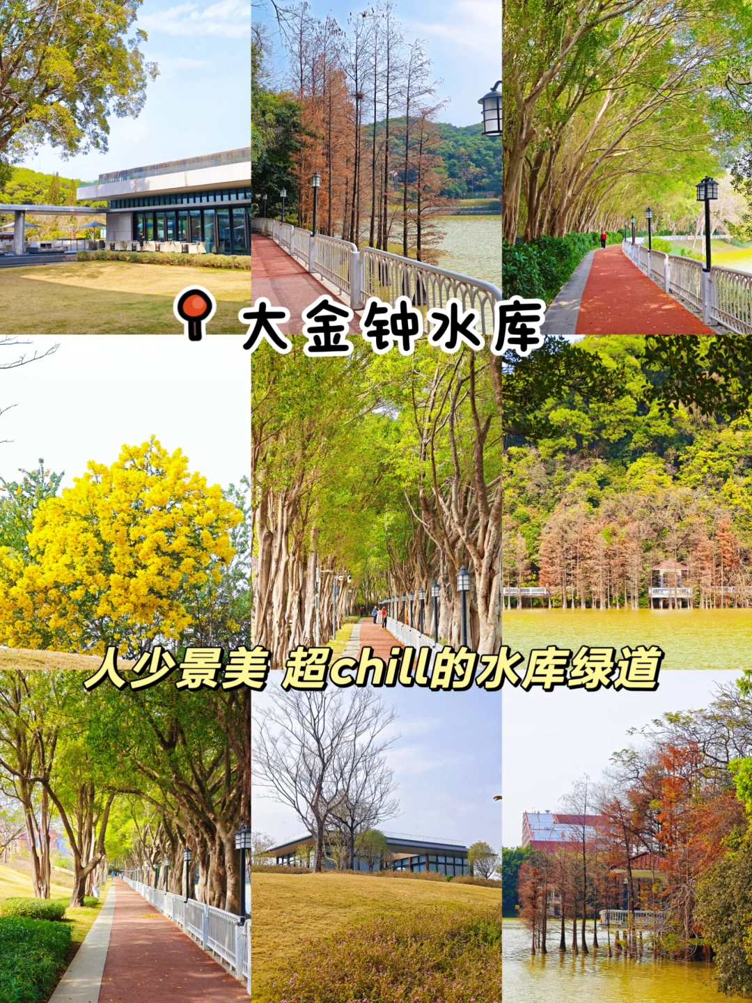 大金钟水库！人少景美不废腿🍃强推这路线