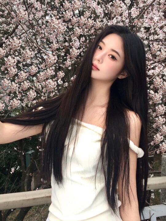 ౨ৎ˚樱花季🌸