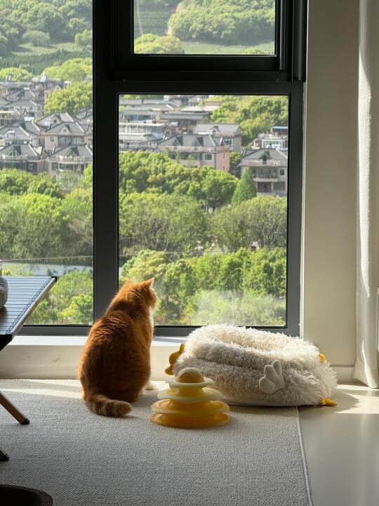 春好🐈