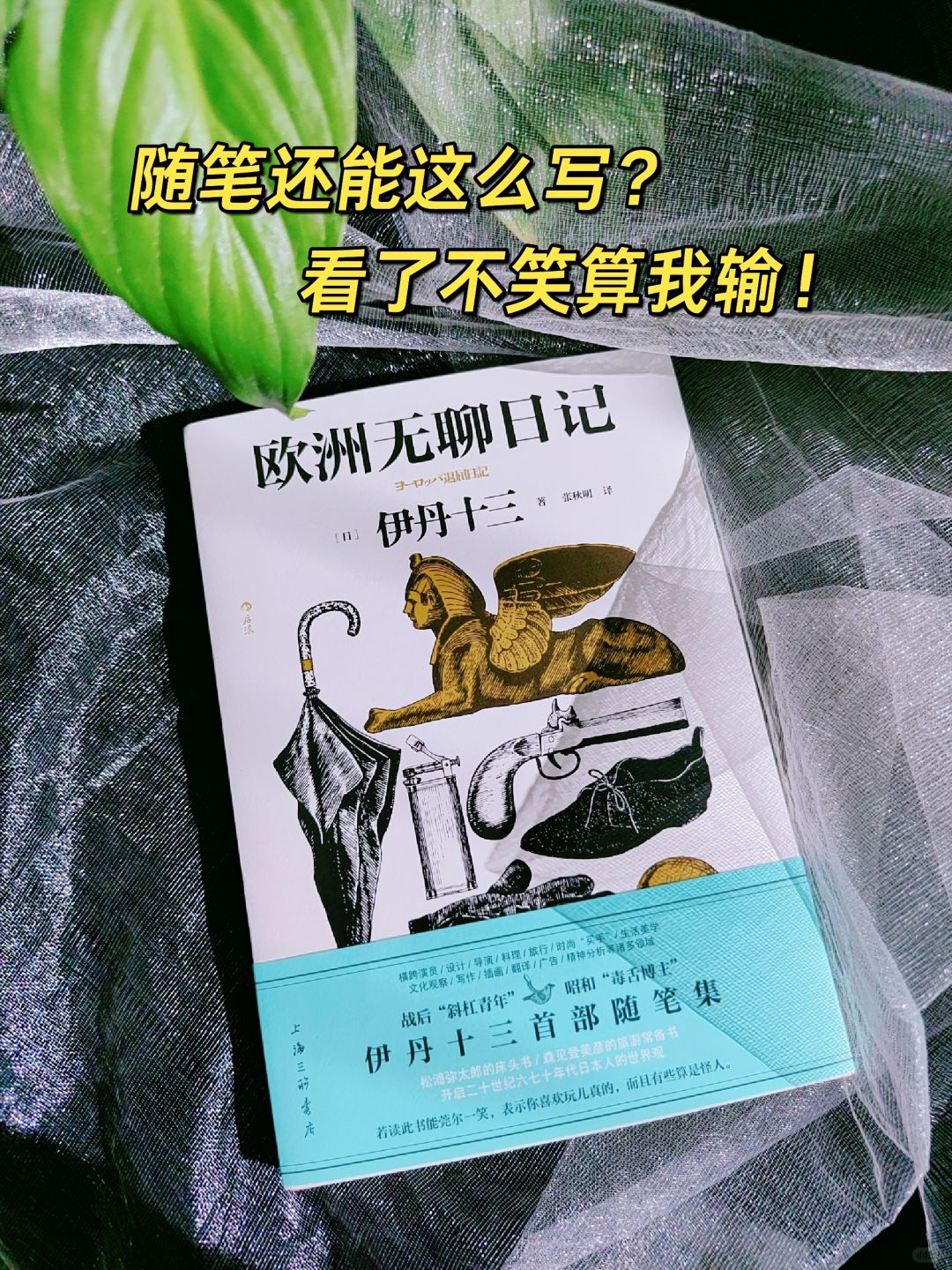 天呐！竟然有人能生活得这么有趣！