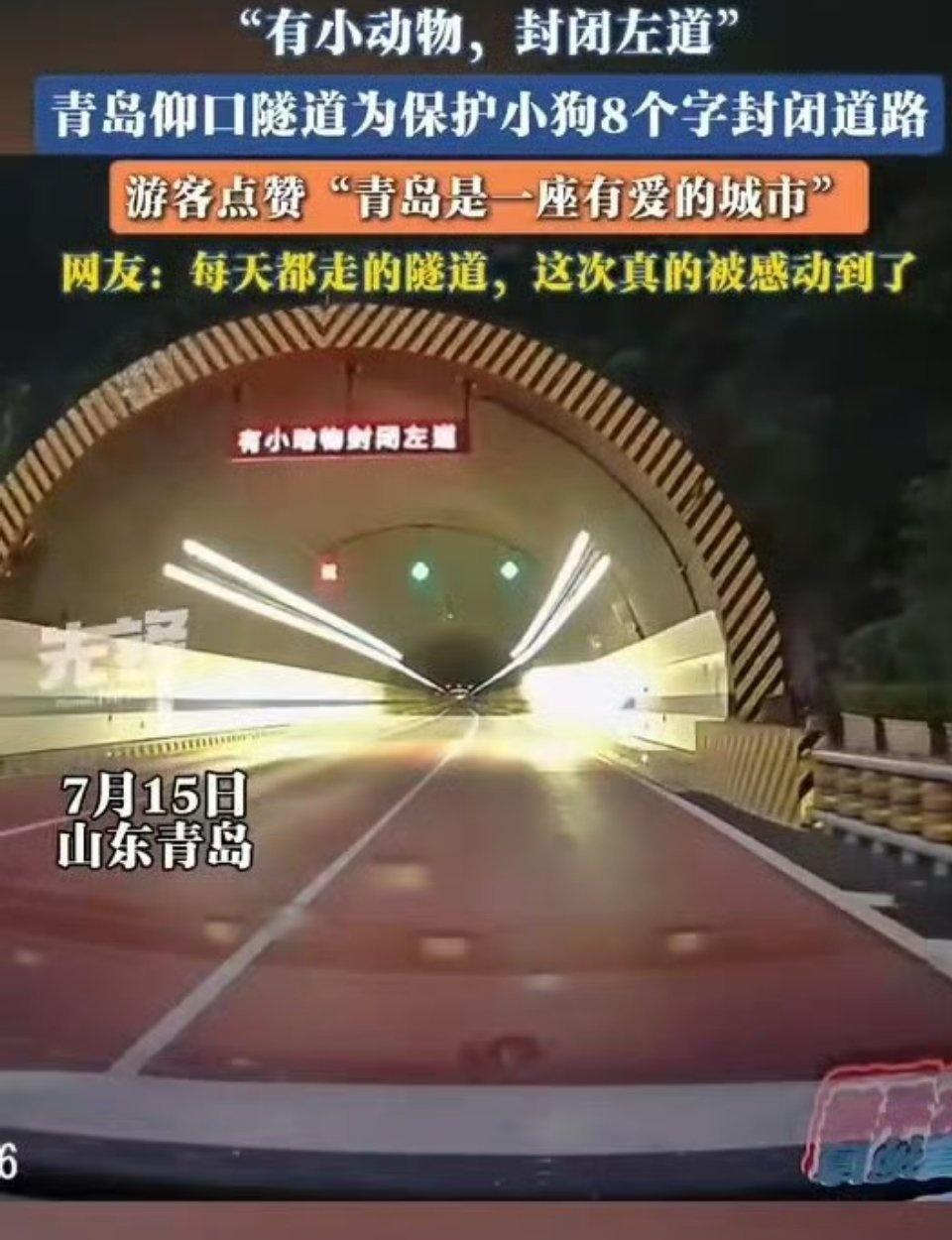 城市基础设施大多优先考虑车辆通行效率，仰口隧道专门设置文字提示兼顾小动物安全，短