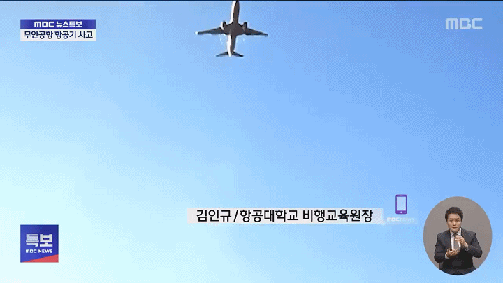 看了韩国客机遭鸟击的视频，感觉鸟或者鸟群击中的是飞机右侧的引擎，鸟击后引擎有明显