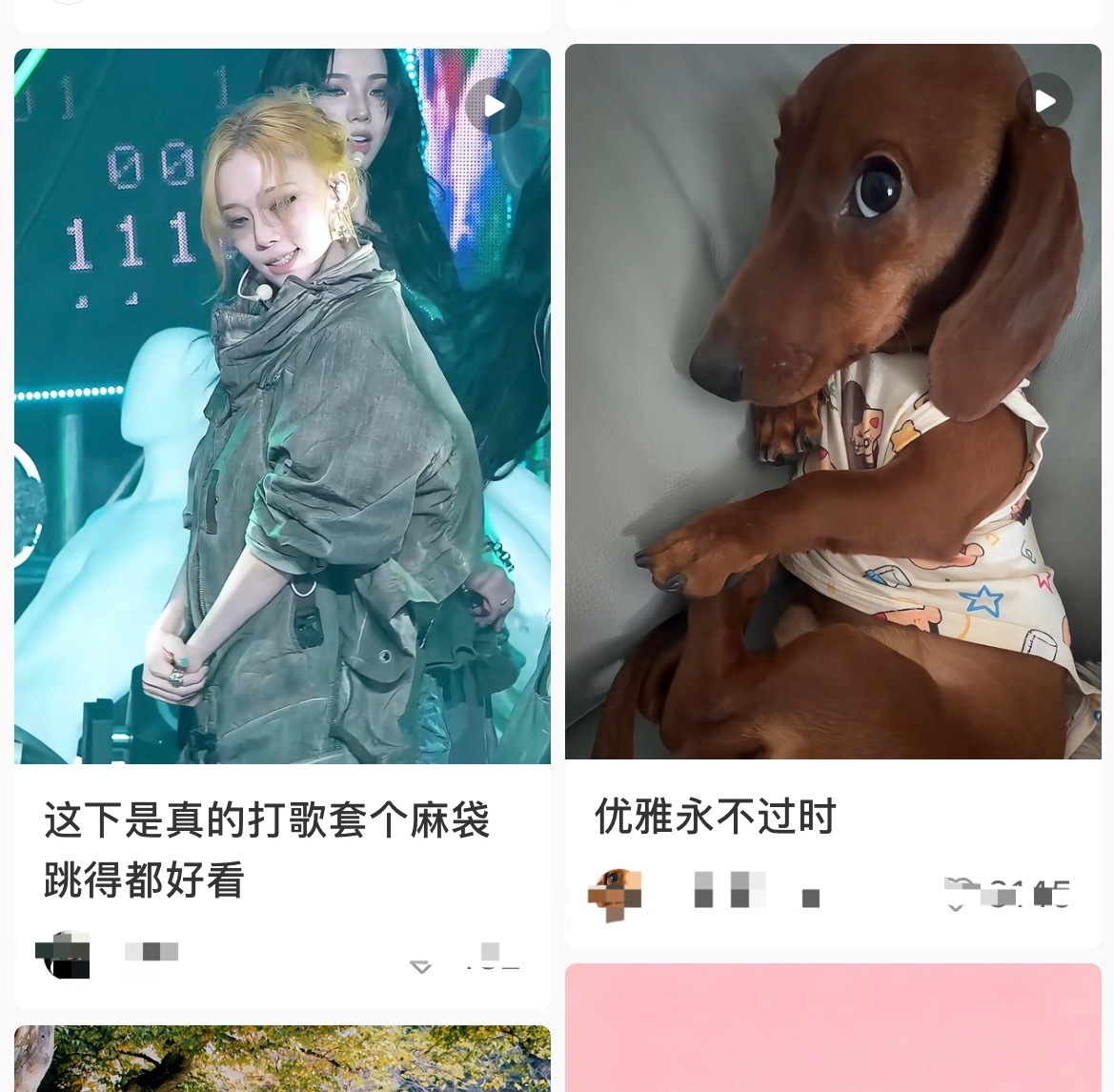 睡前打开小红书 被算法看笑了 