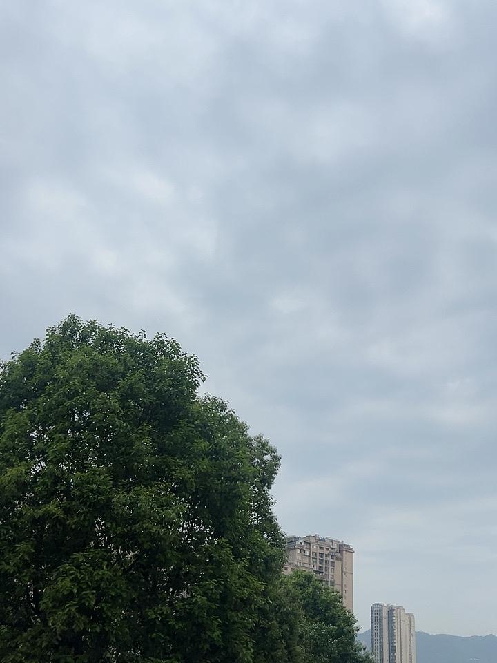 路上老人摔倒为什么现在没人敢扶?    不敢扶是因为代价太高！现在年轻人都是上有