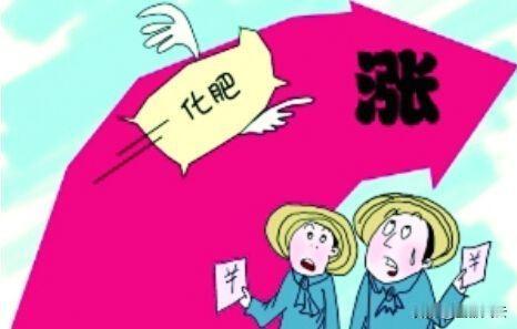 如果没有自身强大组织体系，农产品价格合理不合理都不能改变农民农业利益被剥利的现实