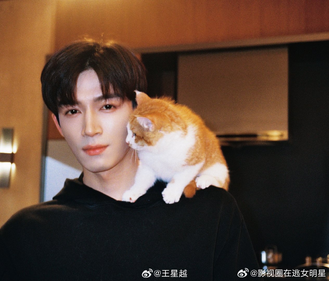 王星越miao王星越miao 