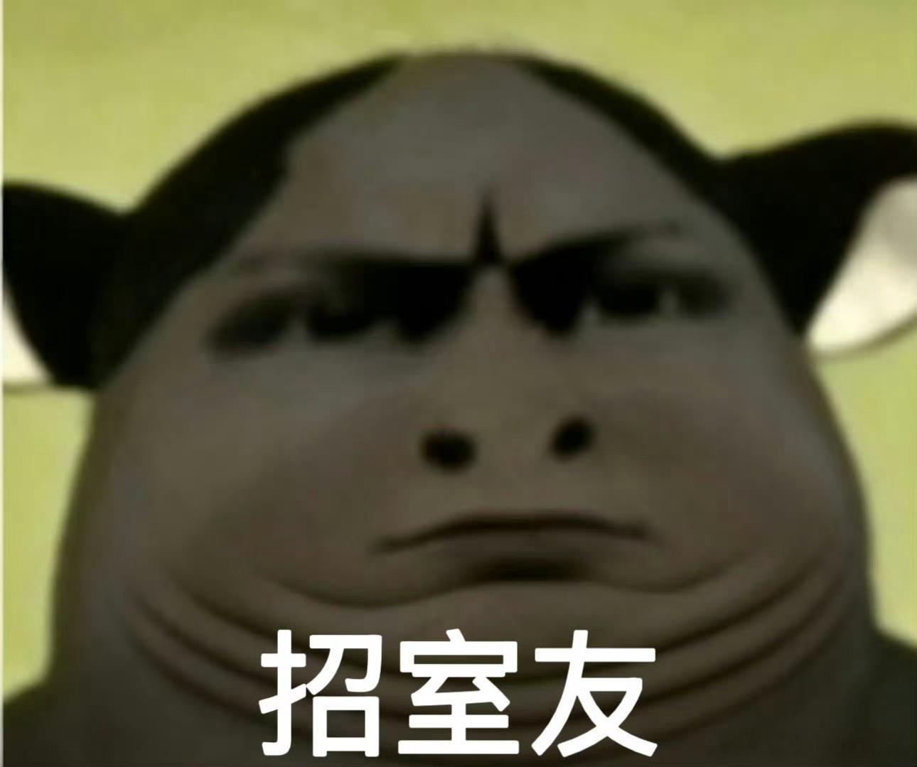 内部比谁的清楚就是本人🌚为了老头那张老脸，也是不要自己脸了，夫妻相多好的啊 
