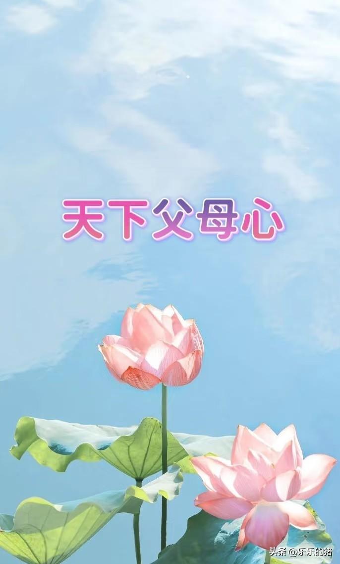 本家姐去年54岁病逝了。烧完周年纸本家姐夫就带着新老婆来认亲了。不光要给那女的红