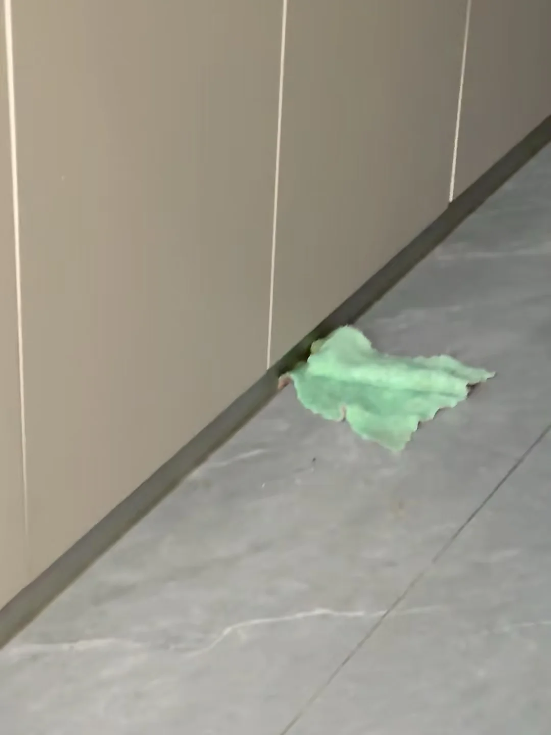 小绿叶大用处，捡到请转！