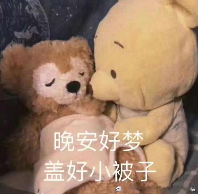 先睡了晚安💤 