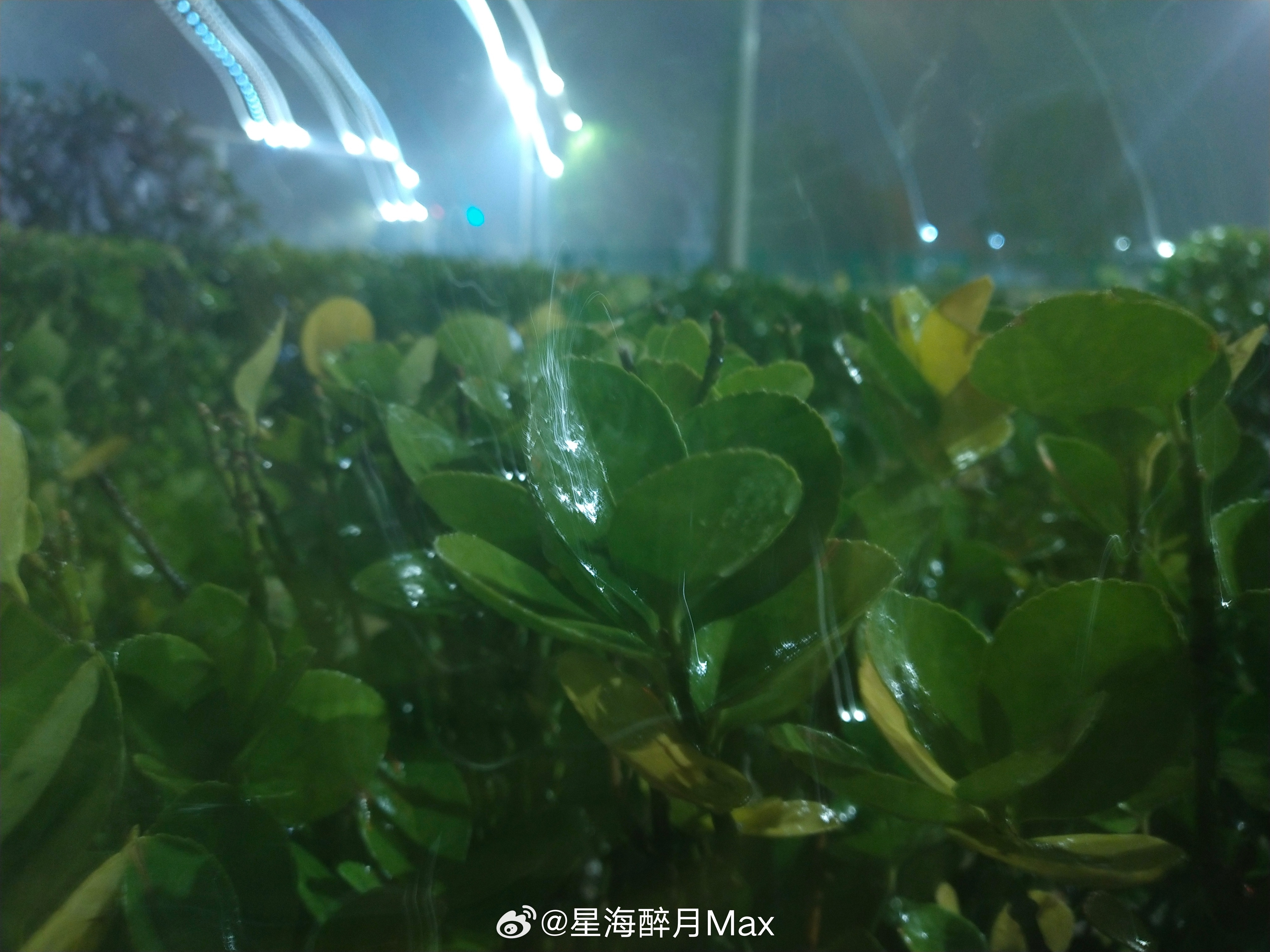 05月25日，悦。一、中午那会儿出去，财干路以及建设路低洼处，短时强降雨，积水不