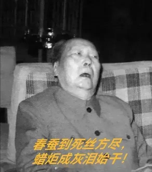 一朝真龙腾空，华夏再现雄风。扶九州于即倒，挽中国于将倾，百难之前不屈，谷底之际未
