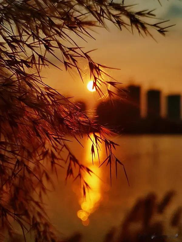 翻看手机相册，那几张夕阳照瞬间击中了我。有次夏日傍晚，我在海边漫步，亲眼见证太阳