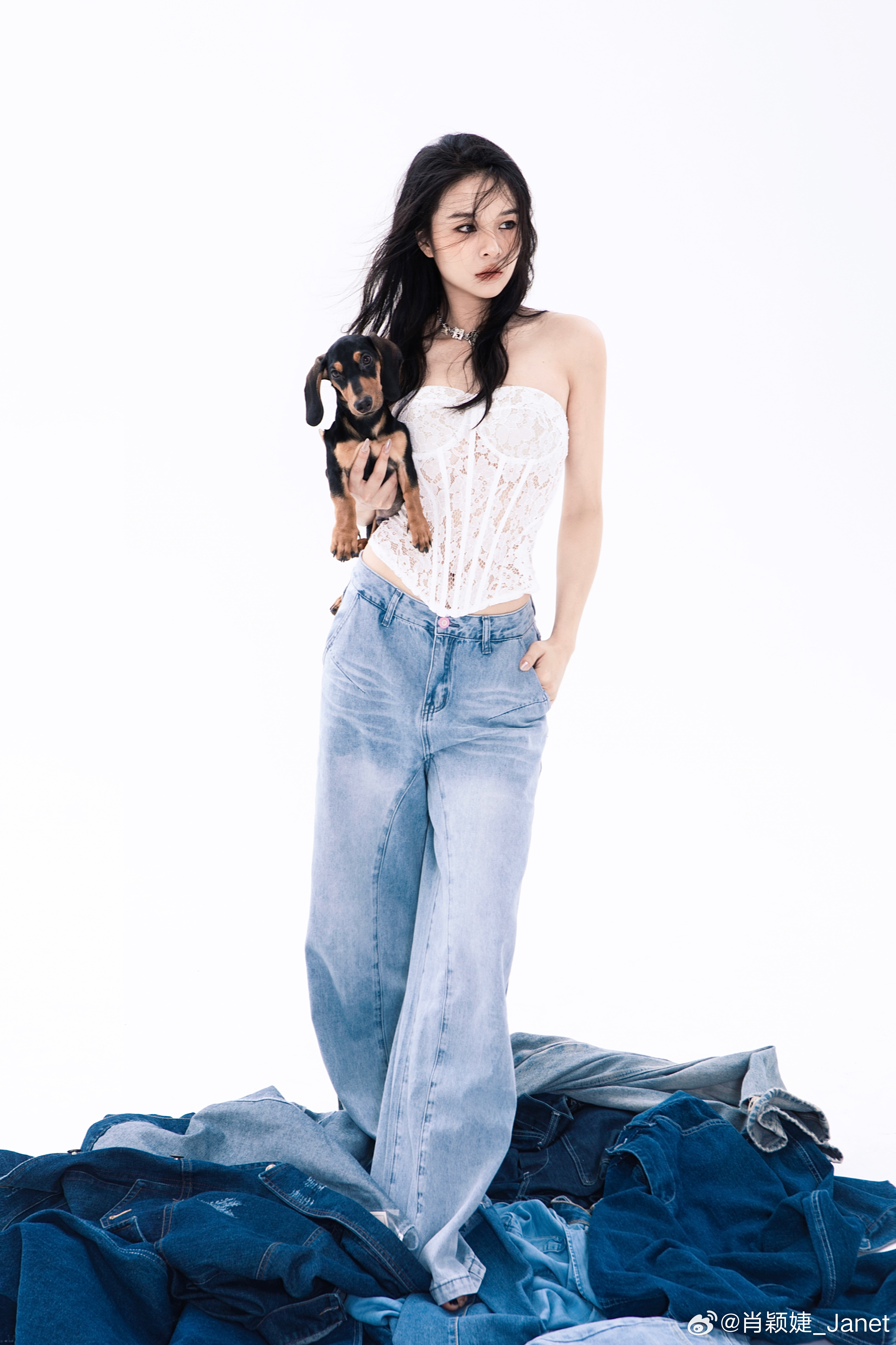 分享图片 ​​​