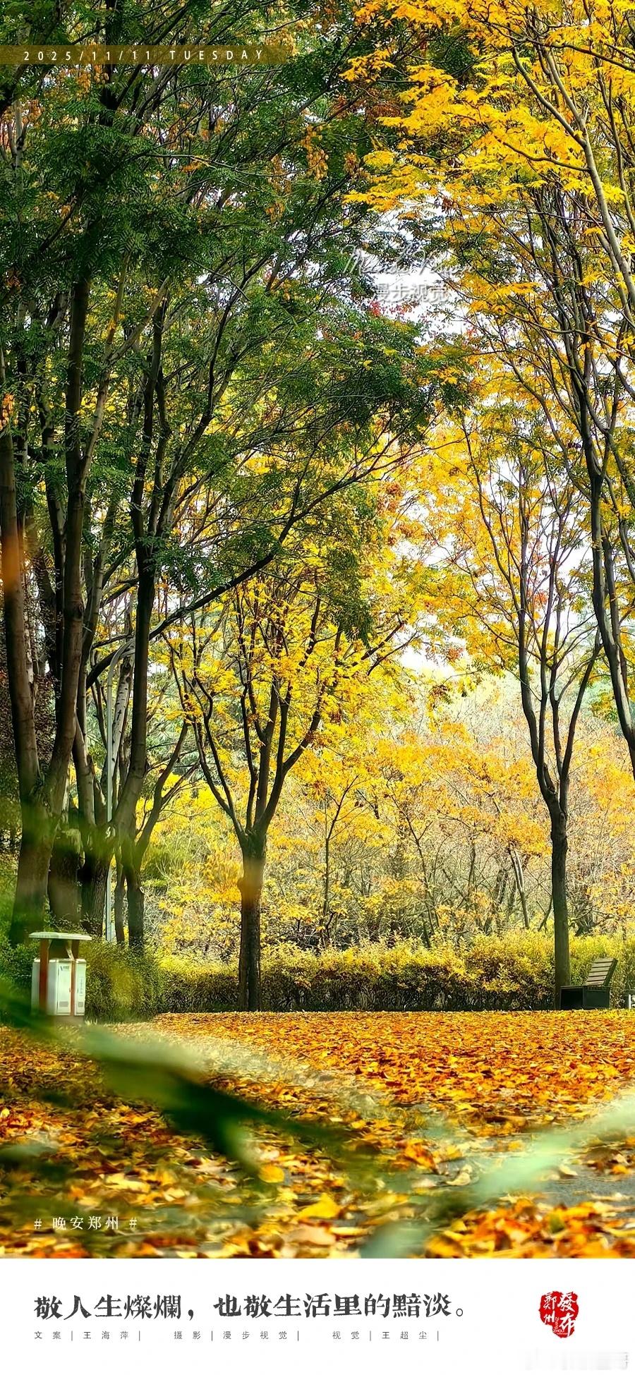 【晚安海报】敬人生灿烂，也敬生活里的黯淡。晚安，郑州！ 