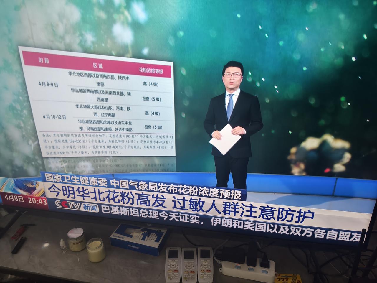 真想不明北方为什么这样的景观树，北方一些城市喜欢种杨树，柳树为城市绿花树，一到春