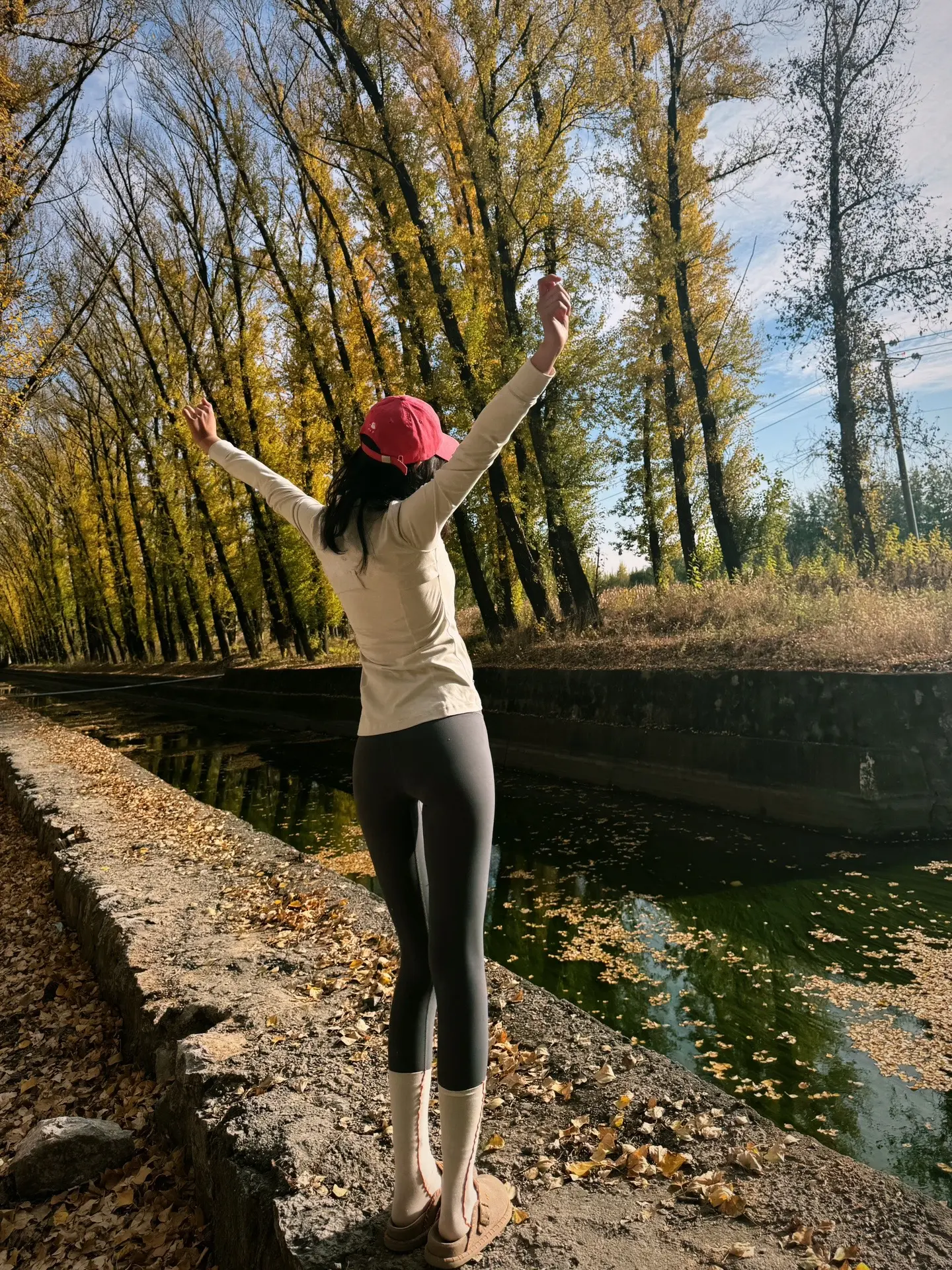 写信告诉你 ✉️ 太原的秋天有点美🍂