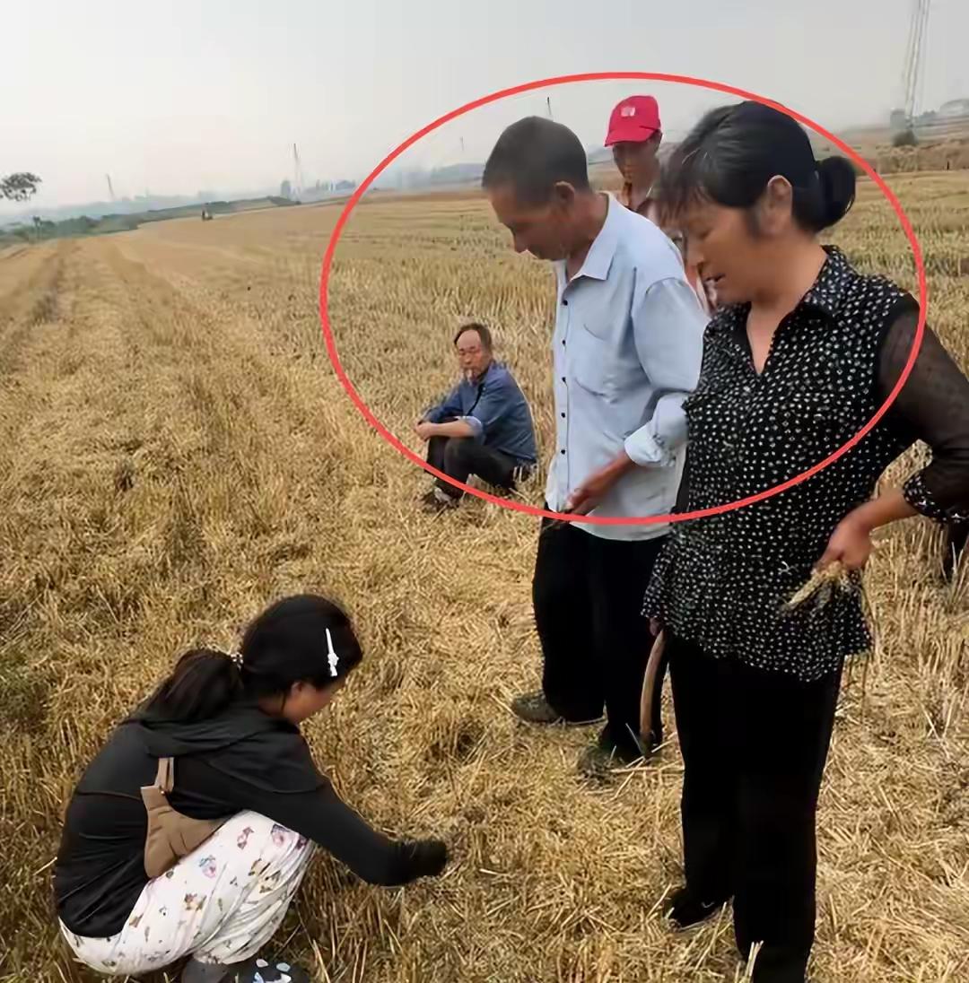 而且可以肯定，明年就没什么外地收割机来，甚至连湖北本地的收割机手大概率也不愿在当