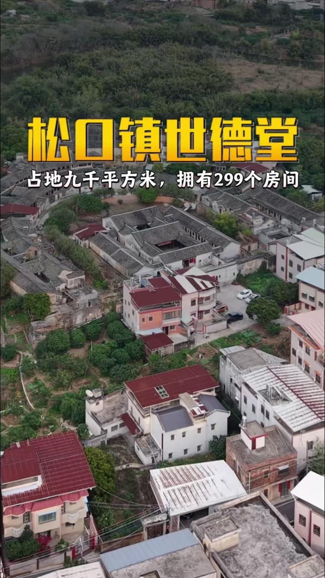 🏯有“太子行宫”之称的世德堂，是一座规模极其宏大的宏伟围屋。
相传明朝末代太子