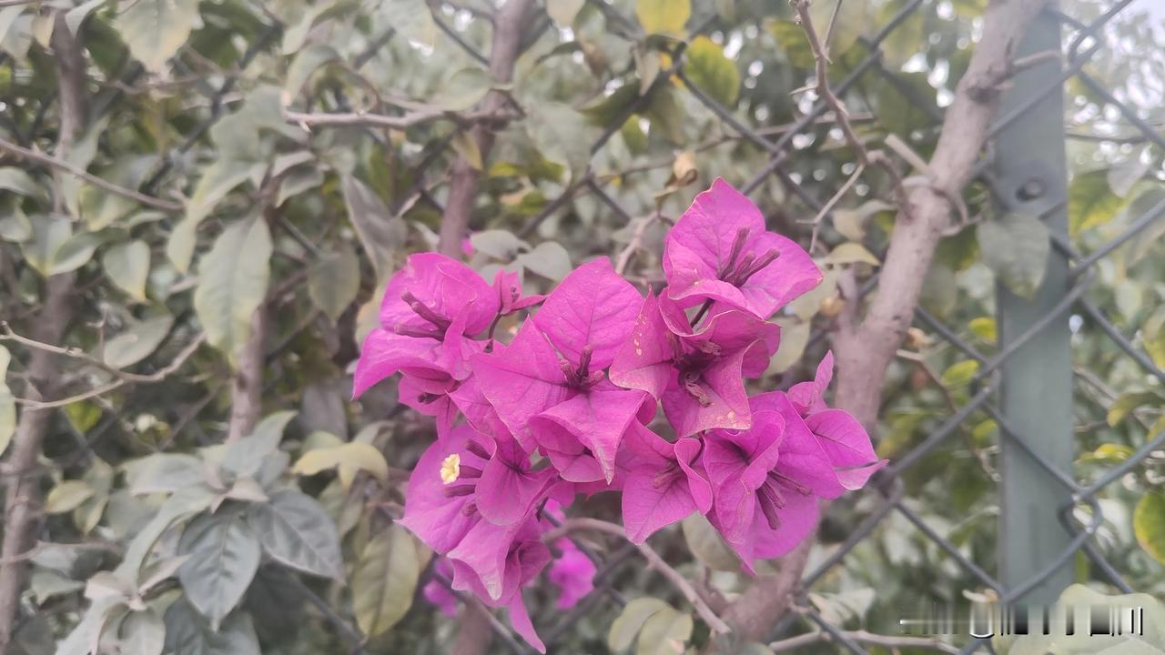 这个月失业在家，没有上班，本来想着天天早睡早起，锻炼身体，可自我控制能力实在太差